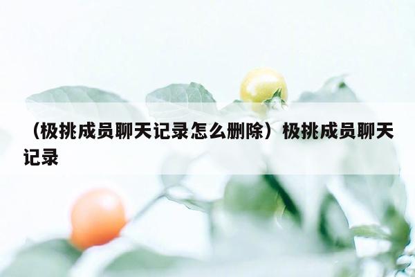 （极挑成员聊天记录怎么删除）极挑成员聊天记录