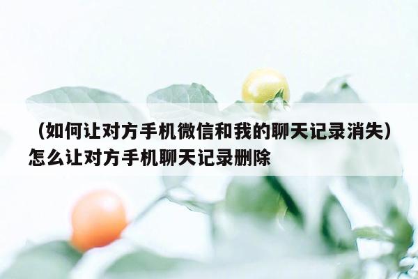 （如何让对方手机微信和我的聊天记录消失）怎么让对方手机聊天记录删除