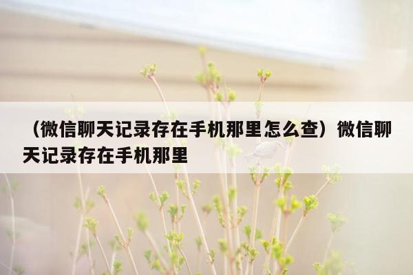 （微信聊天记录存在手机那里怎么查）微信聊天记录存在手机那里