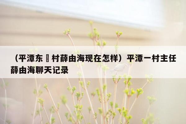 （平潭东崑村薛由海现在怎样）平潭一村主任薛由海聊天记录