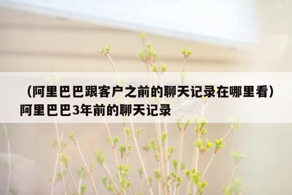 （阿里巴巴跟客户之前的聊天记录在哪里看）阿里巴巴3年前的聊天记录