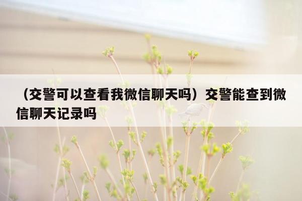 （交警可以查看我微信聊天吗）交警能查到微信聊天记录吗