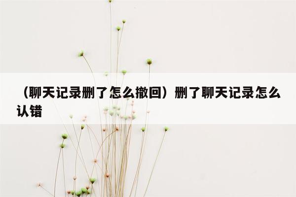 （聊天记录删了怎么撤回）删了聊天记录怎么认错