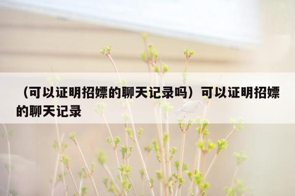 （可以证明招嫖的聊天记录吗）可以证明招嫖的聊天记录