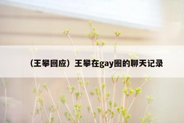 （王攀回应）王攀在gay圈的聊天记录