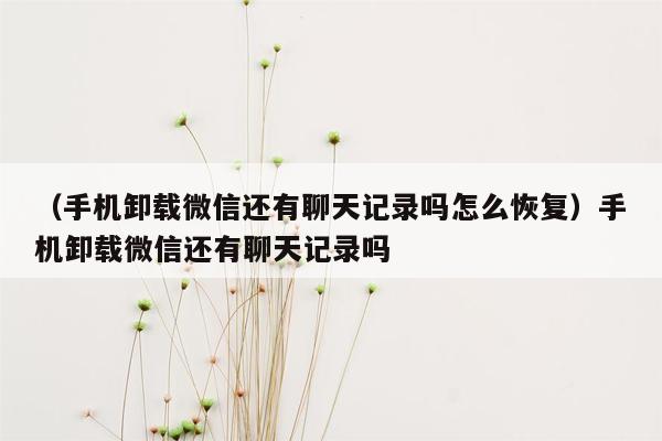 （手机卸载微信还有聊天记录吗怎么恢复）手机卸载微信还有聊天记录吗