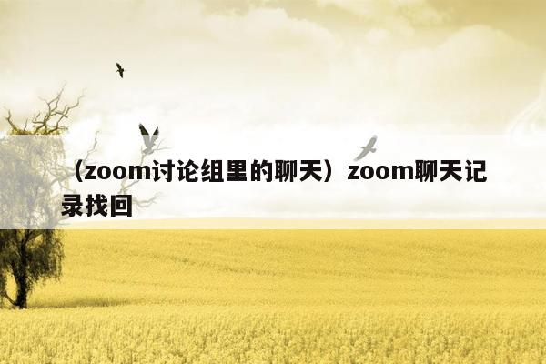 （zoom讨论组里的聊天）zoom聊天记录找回