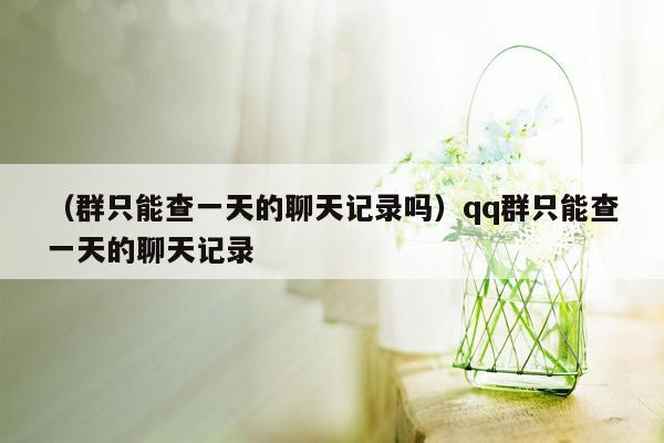 （群只能查一天的聊天记录吗）qq群只能查一天的聊天记录