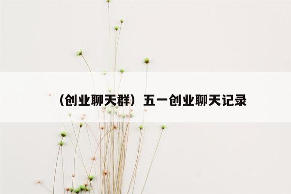 （创业聊天群）五一创业聊天记录