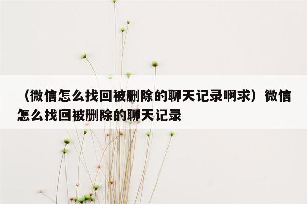 （微信怎么找回被删除的聊天记录啊求）微信怎么找回被删除的聊天记录