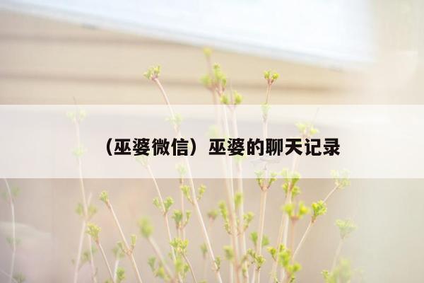 （巫婆微信）巫婆的聊天记录