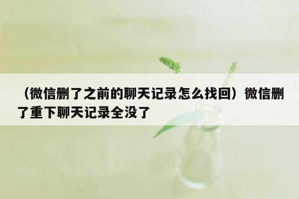 （微信删了之前的聊天记录怎么找回）微信删了重下聊天记录全没了