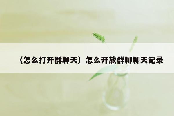 （怎么打开群聊天）怎么开放群聊聊天记录