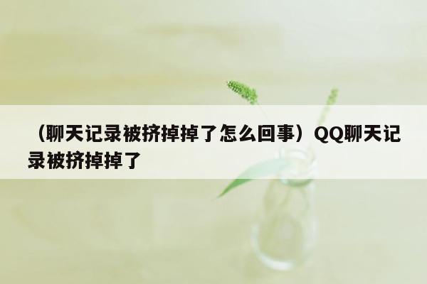 （聊天记录被挤掉掉了怎么回事）QQ聊天记录被挤掉掉了