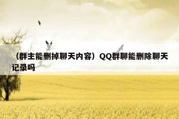 （群主能删掉聊天内容）QQ群聊能删除聊天记录吗