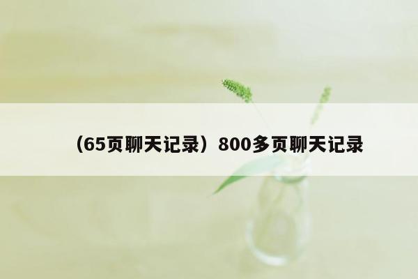 （65页聊天记录）800多页聊天记录