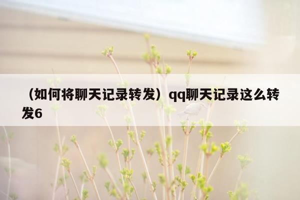 （如何将聊天记录转发）qq聊天记录这么转发6