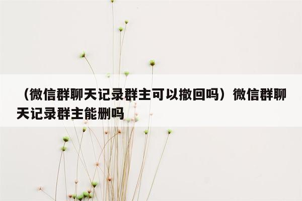 （微信群聊天记录群主可以撤回吗）微信群聊天记录群主能删吗