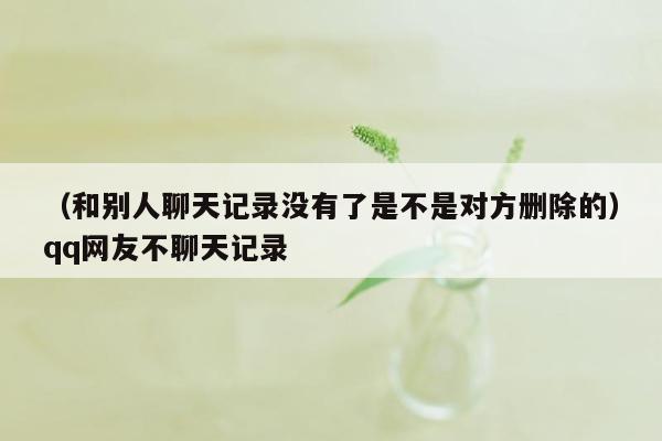 （和别人聊天记录没有了是不是对方删除的）qq网友不聊天记录