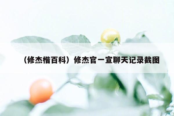 （修杰楷百科）修杰官一宣聊天记录截图