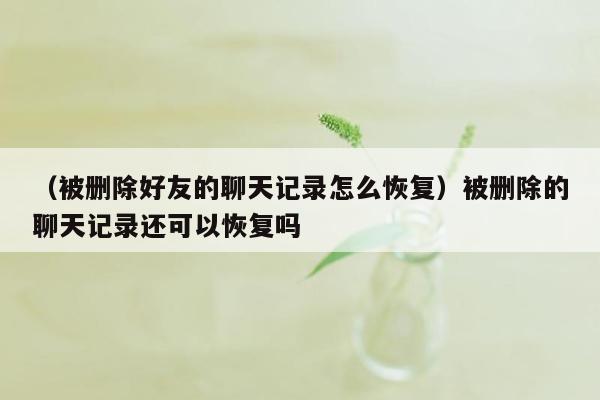 （被删除好友的聊天记录怎么恢复）被删除的聊天记录还可以恢复吗