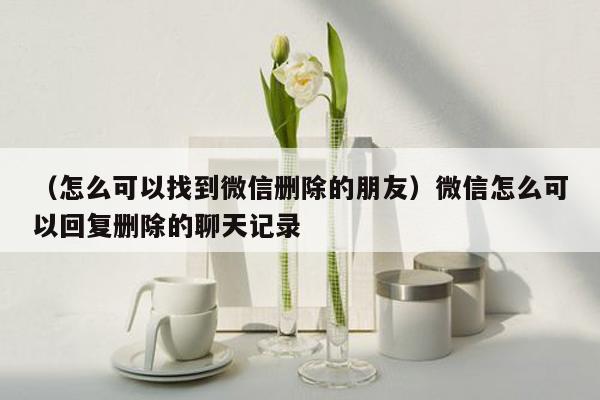 （怎么可以找到微信删除的朋友）微信怎么可以回复删除的聊天记录