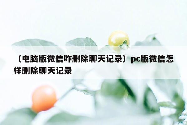 （电脑版微信咋删除聊天记录）pc版微信怎样删除聊天记录