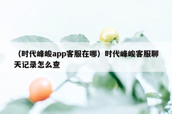 （时代峰峻app客服在哪）时代峰峻客服聊天记录怎么查