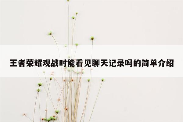 王者荣耀观战时能看见聊天记录吗的简单介绍