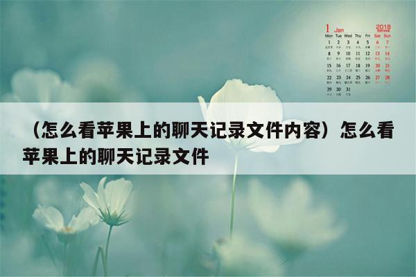 （怎么看苹果上的聊天记录文件内容）怎么看苹果上的聊天记录文件