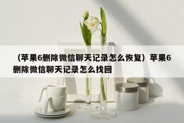 （苹果6删除微信聊天记录怎么恢复）苹果6删除微信聊天记录怎么找回