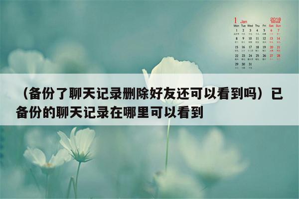 （备份了聊天记录删除好友还可以看到吗）已备份的聊天记录在哪里可以看到