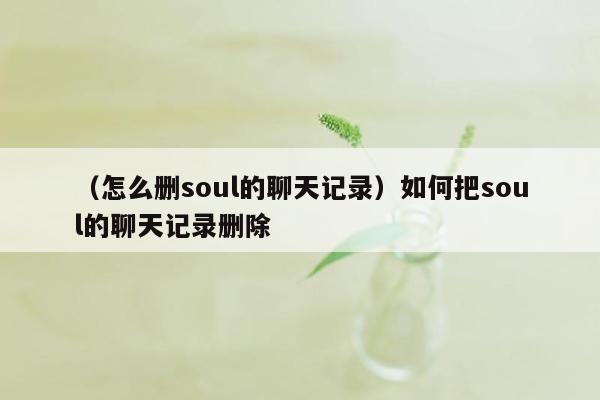 （怎么删soul的聊天记录）如何把soul的聊天记录删除