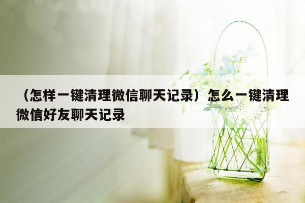 （怎样一键清理微信聊天记录）怎么一键清理微信好友聊天记录