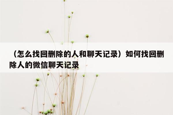 （怎么找回删除的人和聊天记录）如何找回删除人的微信聊天记录