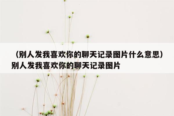 （别人发我喜欢你的聊天记录图片什么意思）别人发我喜欢你的聊天记录图片