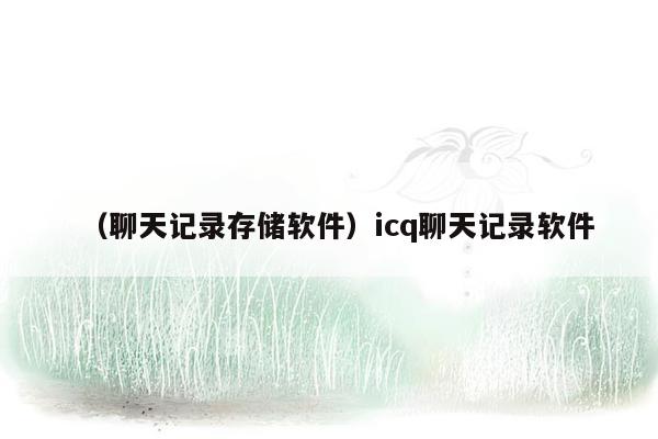 （聊天记录存储软件）icq聊天记录软件