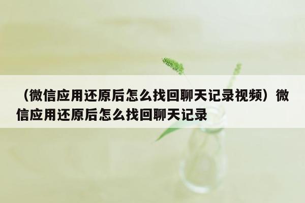 （微信应用还原后怎么找回聊天记录视频）微信应用还原后怎么找回聊天记录