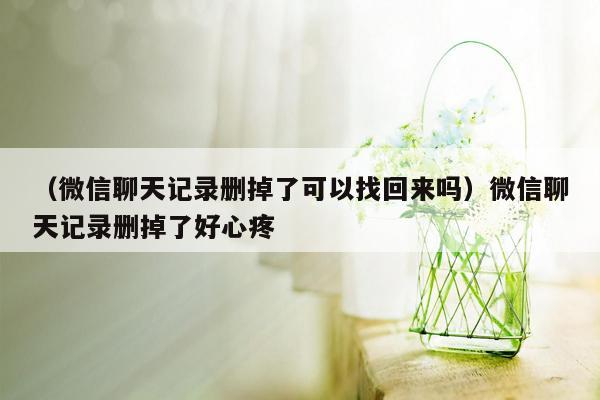 （微信聊天记录删掉了可以找回来吗）微信聊天记录删掉了好心疼