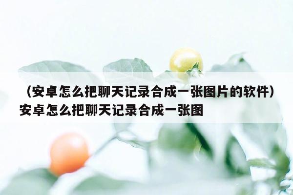 （安卓怎么把聊天记录合成一张图片的软件）安卓怎么把聊天记录合成一张图