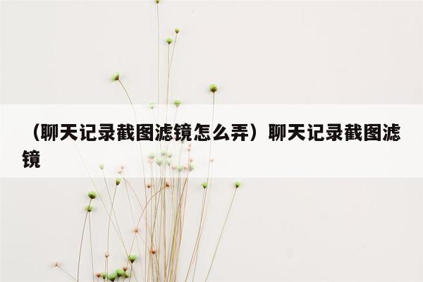 （聊天记录截图滤镜怎么弄）聊天记录截图滤镜