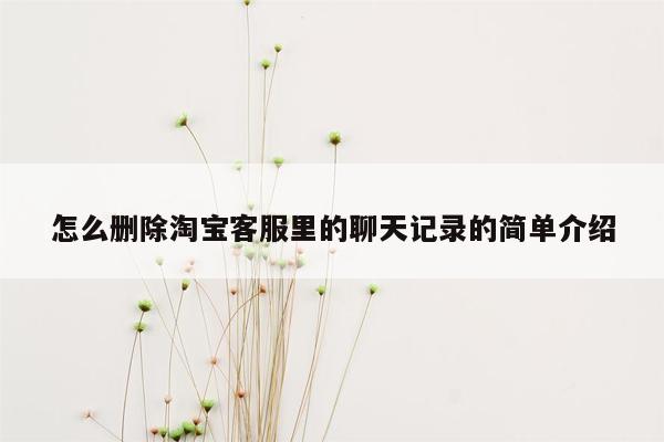 怎么删除淘宝客服里的聊天记录的简单介绍