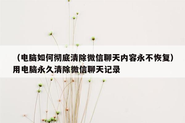 （电脑如何彻底清除微信聊天内容永不恢复）用电脑永久清除微信聊天记录