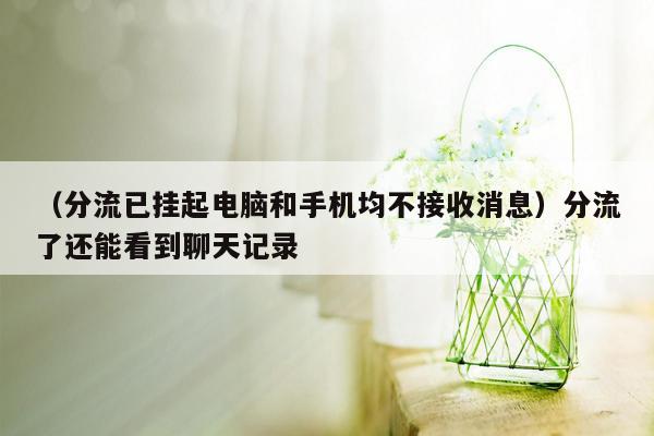 （分流已挂起电脑和手机均不接收消息）分流了还能看到聊天记录