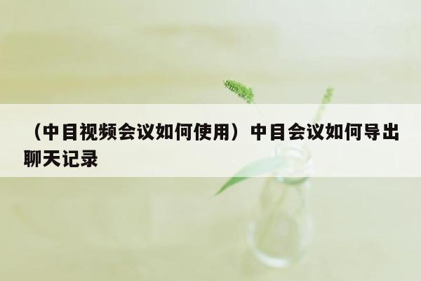 （中目视频会议如何使用）中目会议如何导出聊天记录