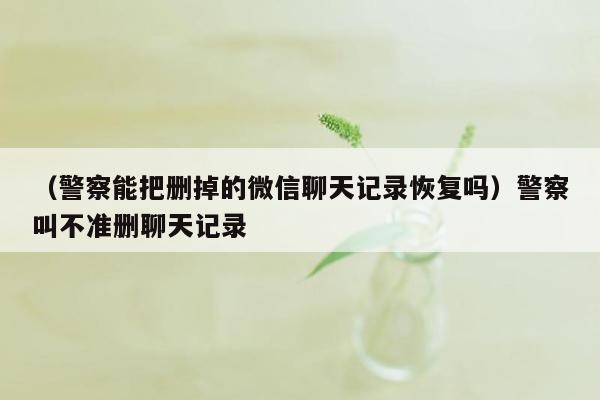 （警察能把删掉的微信聊天记录恢复吗）警察叫不准删聊天记录