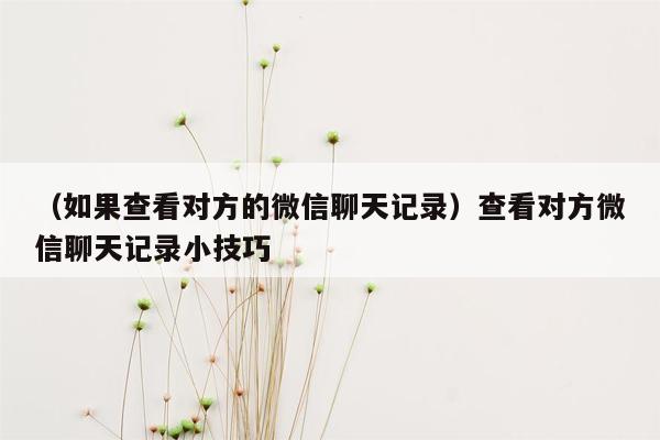 （如果查看对方的微信聊天记录）查看对方微信聊天记录小技巧