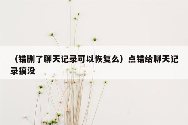 （错删了聊天记录可以恢复么）点错给聊天记录搞没