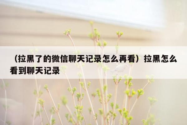 （拉黑了的微信聊天记录怎么再看）拉黑怎么看到聊天记录