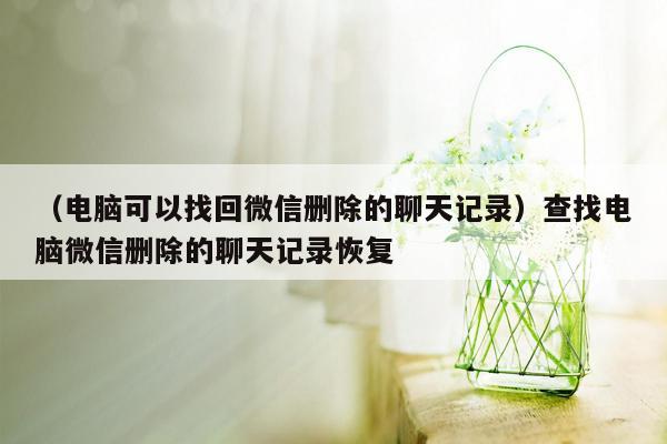 （电脑可以找回微信删除的聊天记录）查找电脑微信删除的聊天记录恢复